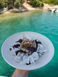 GIA-SENA yacht charter: GIA SENA - photo 22