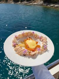 GIA-SENA yacht charter: GIA SENA - photo 23