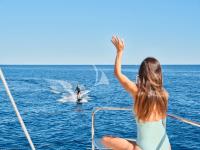 SYLENE yacht charter: SYLENE - photo 69