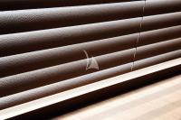 ANYTHING-GOES-IV yacht charter: ANYTHING GOES IV - photo 28