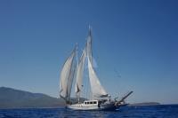 WHITE-SOUL yacht charter: WHITE SOUL - photo 7