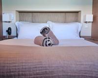 LOOMA yacht charter: LOOMA - Guests cabin