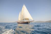 DRAGONFLY yacht charter: DRAGONFLY - photo 3