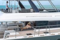 CUTE-LITTLE-CAT yacht charter: CUTE LITTLE CAT - photo 8