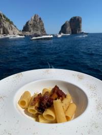 DON-MICHELE yacht charter: Carbonara day onboard at Faraglioni bay