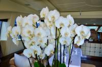 ORION-I yacht charter: ORION I - photo 14