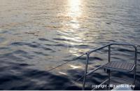 ASTROLABE yacht charter: Dolphin platform