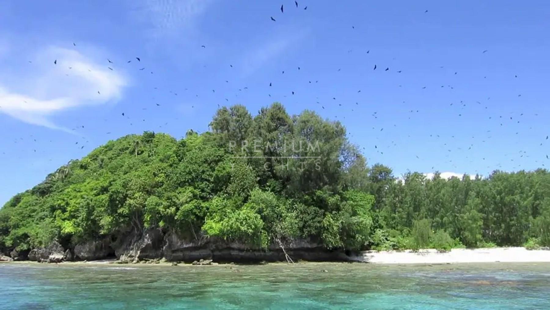 Mioskon Bay, the bats island