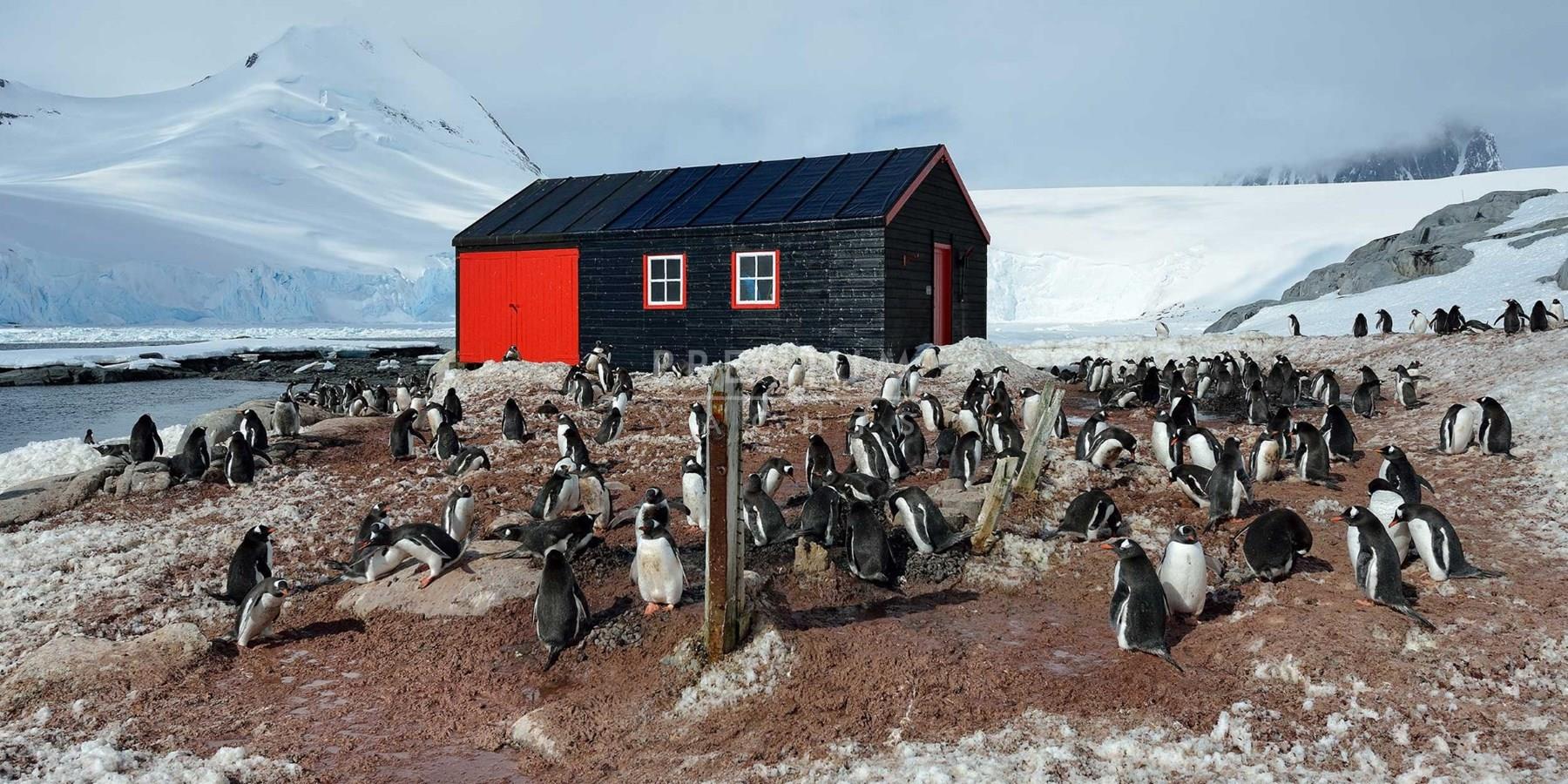 Port Lockroy post office