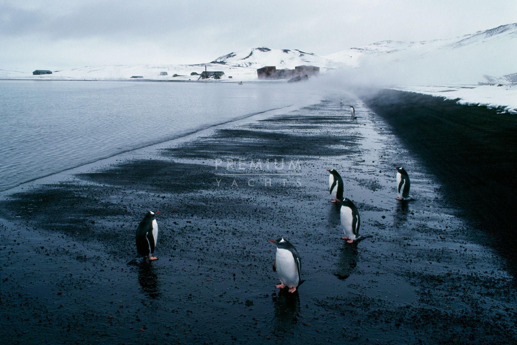 Deception island